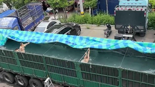 Truck container turned into swimming pool