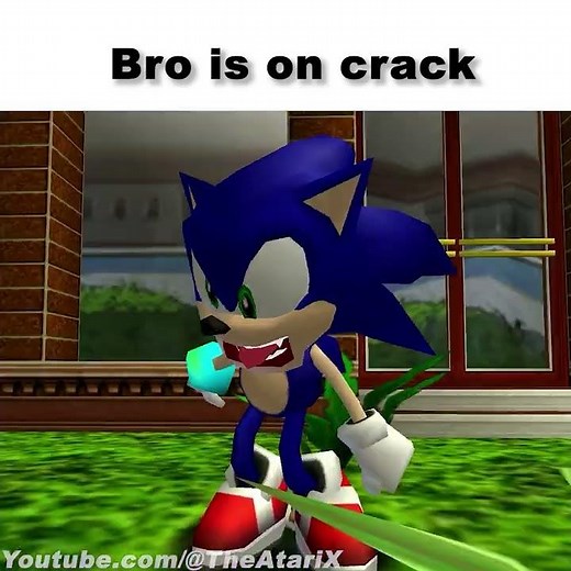 Bro officially lost it.. #sonic #memes