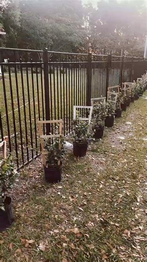 Permaculture Landscape Installation
