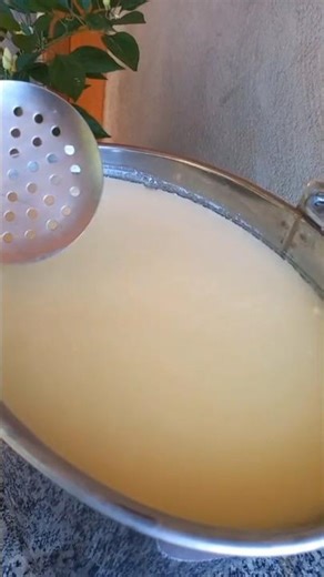 Queijo mussarela caseiro #queijo #mussarela #queijocaseiro