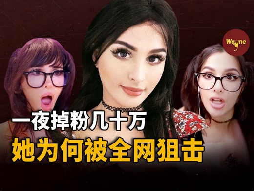 她在油管有千万粉丝，却在一夜间疯狂掉粉，并被全网痛骂，她到底做了什么？ | SSSniperwolf的四宗罪 | Wayne调查