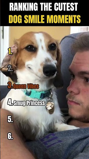 RANKING THE CUTEST DOG SMILE MOMENTS 🥰🐶 | Can smiles be contagious?