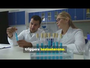 Key Fertility Tests for Men: Understanding Male Reproductive Health