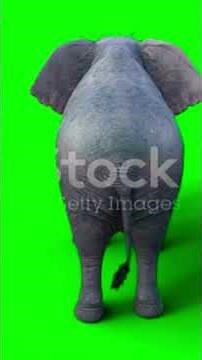 #@fact_TechZ#amazingfacts #fact_Tech #factsinhindi #facts