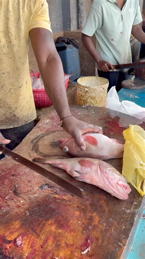 2 RED SNAPPER FISH ⚡ Cut in Lightning Speed! 🔪🐟 Watch This Insane Skill!