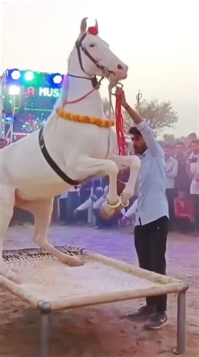 Chunni me chunni me 😱😱#shorts