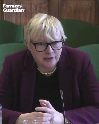 Farmers Guardian 🚜 on Instagram: "Baroness Batters' Farm Profitability Review will be published within hours, the Farming Minister has confirmed. 🚜📋 🗣️ "It is a substantial report and the Secretary of State is very excited about it," she said. "We will be giving an initial response to the major recommendations in the New Year. There is an awful lot in there." Appearing before MPs, Dame Angela Eagle also pledged to deliver a simpler and fairer SFI, with more farmers able to benefit. 🌱 Tap th