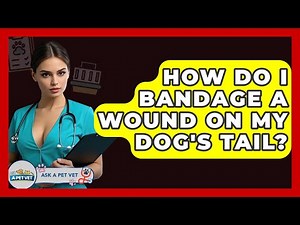 How Do I Bandage A Wound On My Dog's Tail? - Ask A Pet Vet