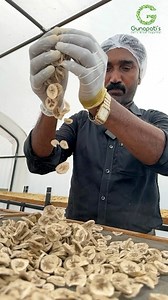 12K views · 67 reactions | Banana slices drying and making banana...