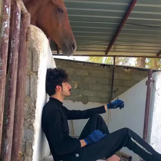 حسابات مقترحة