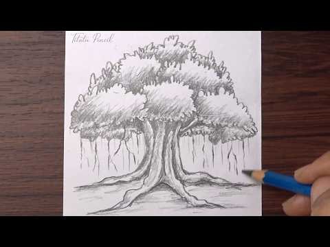 How to Draw a Tree step by step | Pencil Drawing