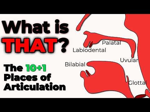 The 10+1 Places of Consonant Articulation in the IPA