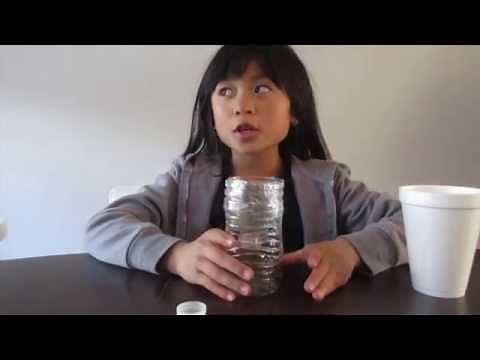 How to Make a Lizard Trap with a Plastic Water Bottle