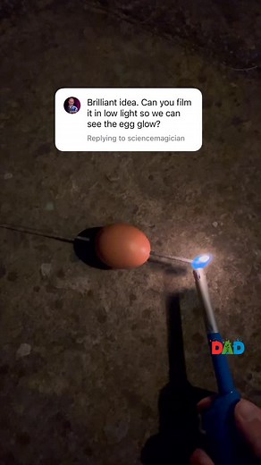 Love doing this experiment at night to create a fire dragon egg effect 🙂 #scienceisfun | TheDadLab