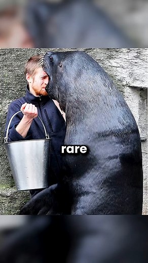 2.6K views · 15 reactions | Rare Photos You've Never Seen Before! Part 17 | Amazing Discovery | Facebook