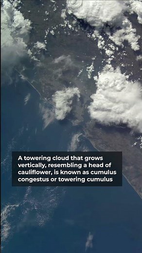 Towering clouds ☁️, known as Cumulus congestus or towering cumulus clouds, captured from space