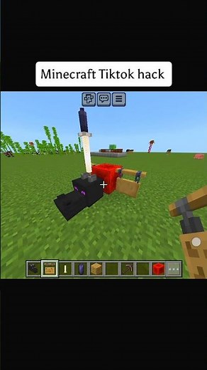 Minecraft Tiktok hack 🥷 #minecraft #minecraftsurvival #hack