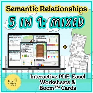 5 in 1 Semantic Relationships - Boom™ Card / Interactive PDF / Worksheet / Easel