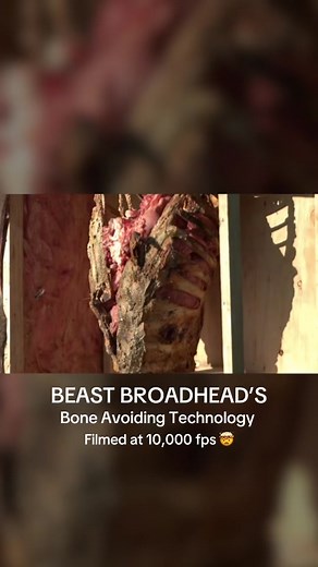 BEAST BROADHEAD REAL TESTING Pt. 2! This show cases the Bone Avoiding Tech extremely well! We filmed this in extreme slow motion at 10,000 fps with our phantom T4040 #slowmotion #broadhead #beastbroadheads