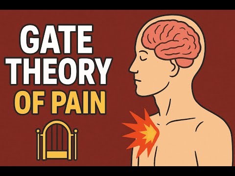 The Gate Control Theory of Pain. Can It Be Used For Chronic Pain?