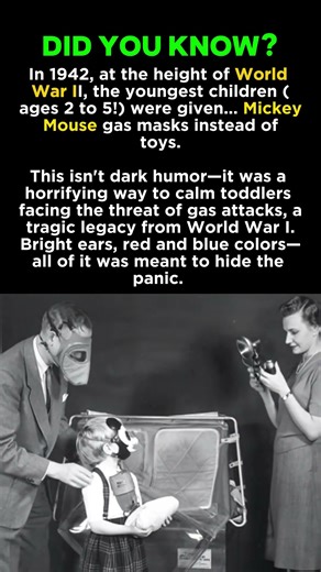 The SCARIEST "Accessory" of WW2: The Mickey Mouse Gas Mask