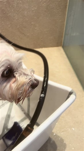 Bebé bello 🥰🎁😍