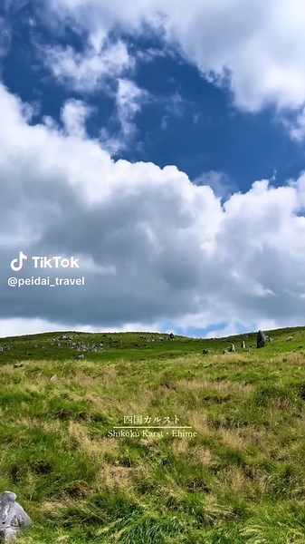四国カルスト：まるでジブリの世界🏔️