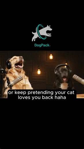 🐾 DogPack – your dog’s new favorite app (and probably yours too). Find dog-friendly parks, trails, cafés, and businesses near you. Meet other dog lovers, join challenges, and discover spots you never knew existed. Because adventures are better with paws by your side. 🐶✨ 📲 Download DogPack today – let’s go explore. | DogPack