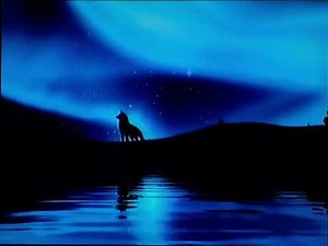 Opening to Ray 2005 VHS