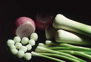 Are All Alliums Edible?