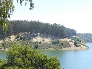 Lake Chabot Stocked: Add Pole, Bait & License