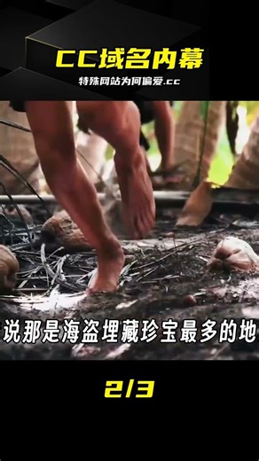 特殊網站為何只認.cc？背后的隱藏真相 #CC域名 #特殊网站 #金融科普 #域名知识 #搜索避坑