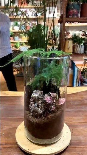 Making a Simple Terrarium | Terra Green #terrarium #terraria #ecosystem #selfsustainable
