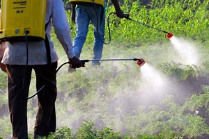 Insecticides License Registration - India License