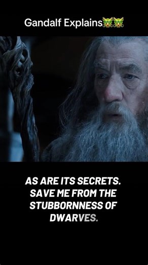 LOTR Gandalf Explains 🐲 Show him the Map #lotr #gandalf #explained #middleearth #maps #wizard #yt
