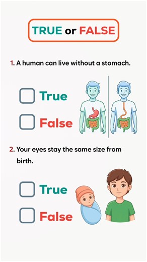 True or False Quiz 😀🧠 #trueorfalse #funquizzes #quizfun #funlearning