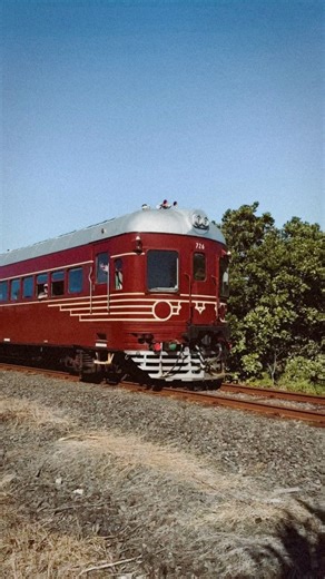 Step back in time onboard the Byron Solar Train this school holidays. It’s world-first sustainable technology meets 1940’s style! ☀️🚂🌿 What’s even better, our Ride in Style lunch deal with the North Byron Hotel is back for the year! Lunch at the North Byron Hotel plus an adult return train ticket is all yours for just $35 with this package. You can book online via our website, or purchase tickets in-person from the Passenger Attendant onboard the train. | Byron Bay Train