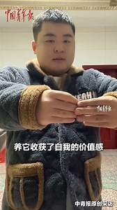 10K views · 300 reactions | 朗Impressive! Have you ever seen a well-trained bird? It can follow commands with precision, performing actions flawlessly! #CuteAnimals #FunMoments | China News 中国新闻网 | Facebook