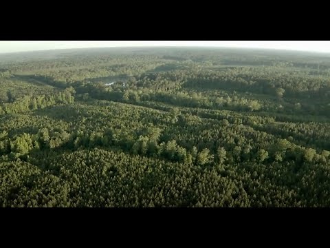 Louisiana Ranch For Sale | Best Hunting Areas in Louisiana | Tigner Farms