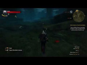 How To Connect PS4 Controller To PC With Steam (Witcher 3 As Example)