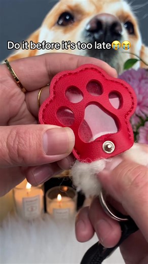 Create a Heartfelt Pet Memorial Keepsake