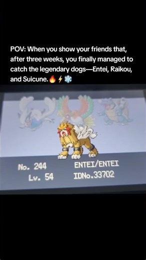 Beating the League with the three legendary dogs in Pokémon Fire Red