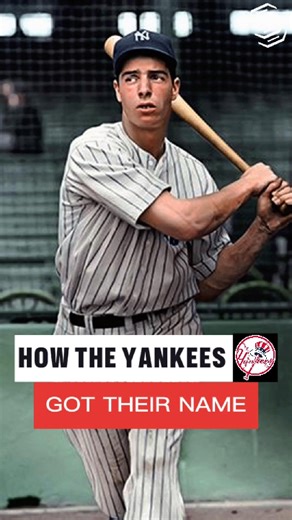26K views · 176 reactions | The New York Yankees have a fascinating...