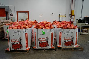 These resources are available to NJ residents who may lose SNAP benefits in November