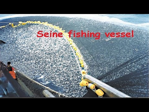 Inside a Seine Fishing Vessel: Modern Fishing Explained