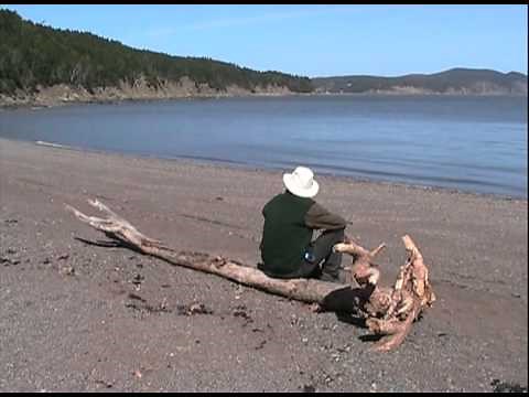 Bay of Fundy tide, time-lapse, Herring Cove