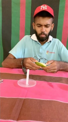 Mind-Blowing Science Experiment You Must See! 🔥 | Simple DIY Test at Home