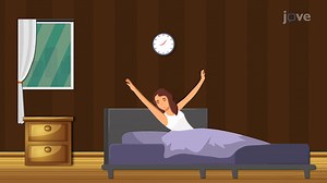 视频: 睡眠-唤醒周期