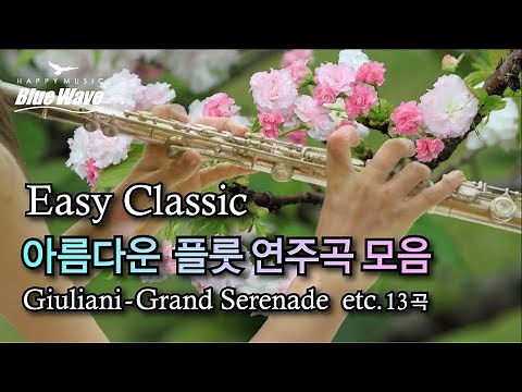🎧 아름다운 플룻 연주곡 모음ㅣGiuliani - Grand Serenadeㅣetc.13곡ㅣ2 Replayㅣ76분ㅣ