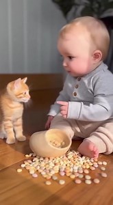 46K views · 1.5K reactions | aby and cat moments that melt the heart  Follow Cats Foryou #baby #cat #funnyvideos #foryoupageシ | Cats Foryou | Facebook